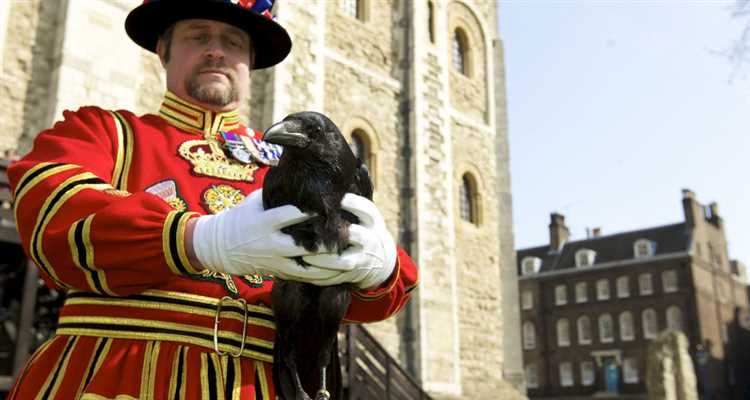 tower of london raven master
